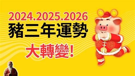 生肖豬幸運色|【2024屬豬幸運色】2024年屬豬者的幸運色與運勢攻略！點亮幸。